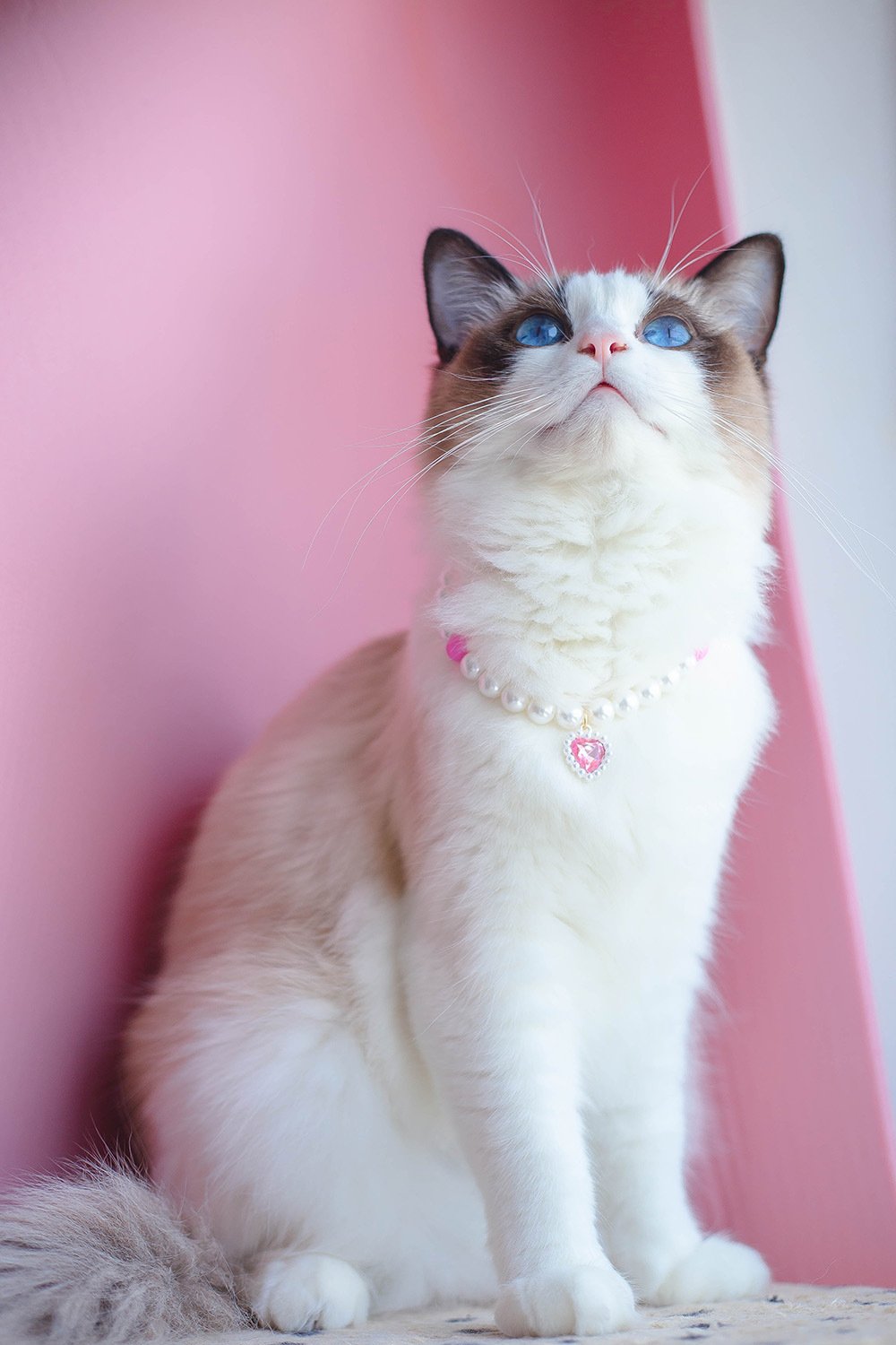 Beaded Heart Cat Necklace - Image 5