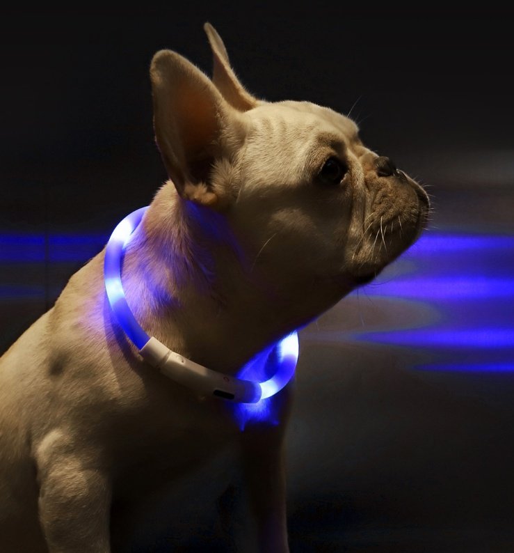 Cut-to-Fit USB LED Dog Collar - Image 2