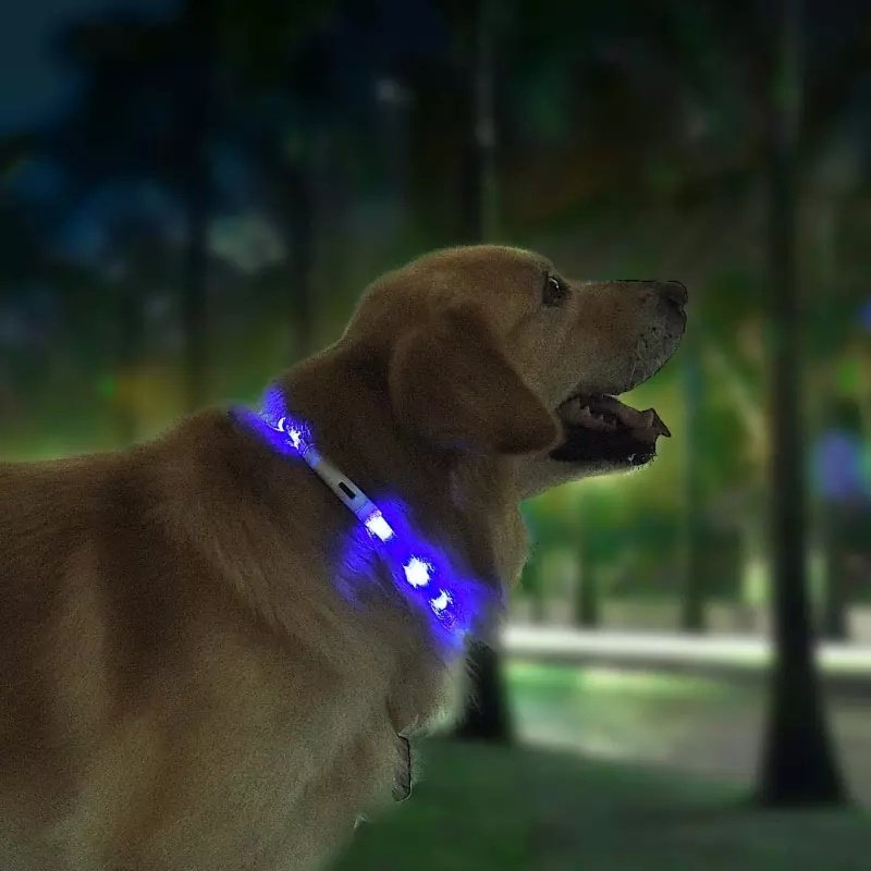 Cut-to-Fit USB LED Dog Collar - Image 6