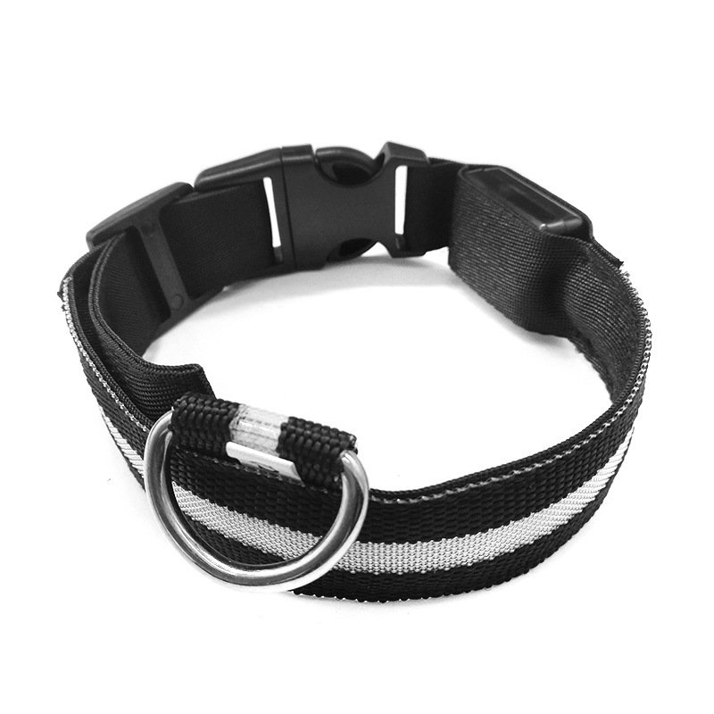 Anti-lost Luminous Collar Dog Tag Dog Collar - Image 4