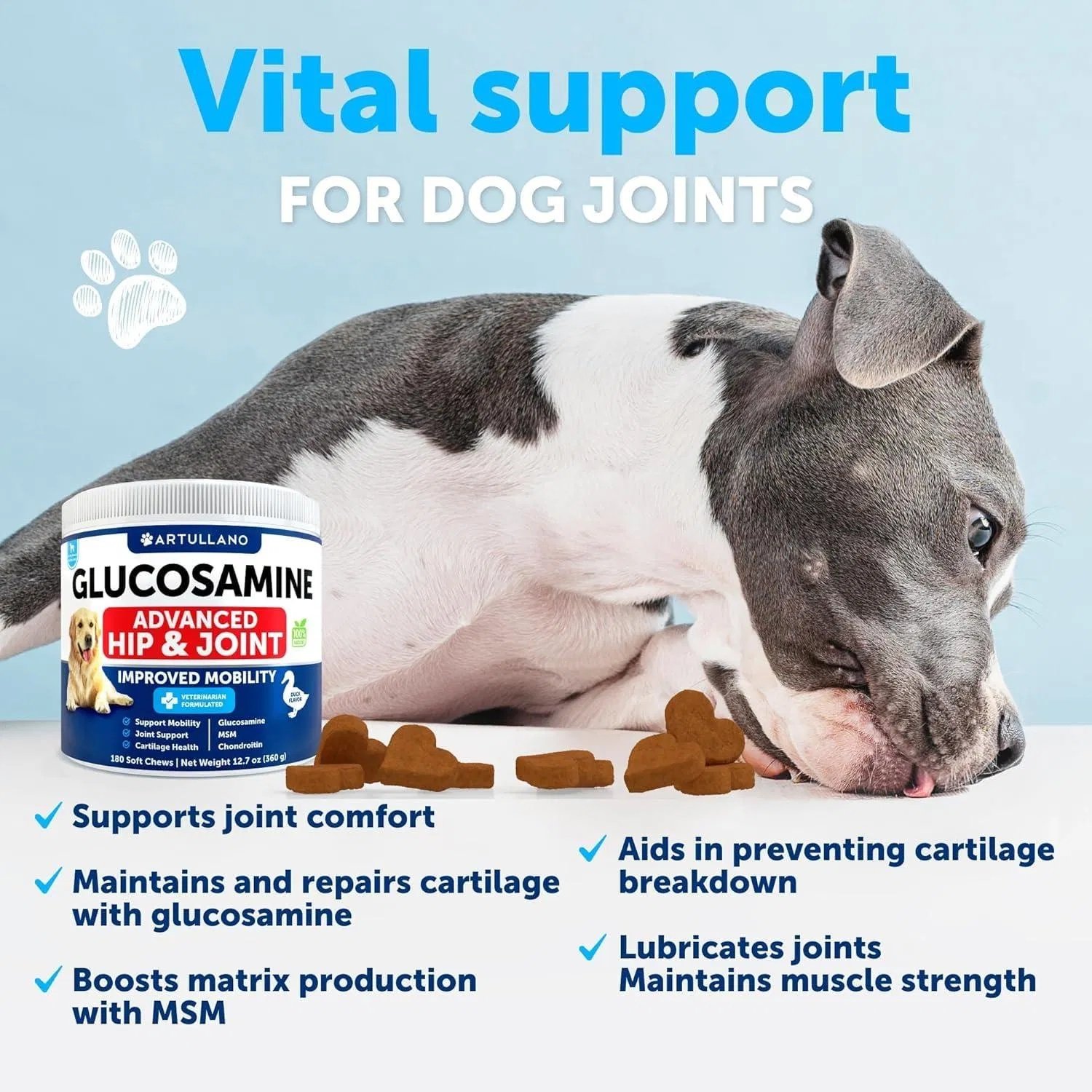 Glucosamine Joint Support Dog Chews - Image 2