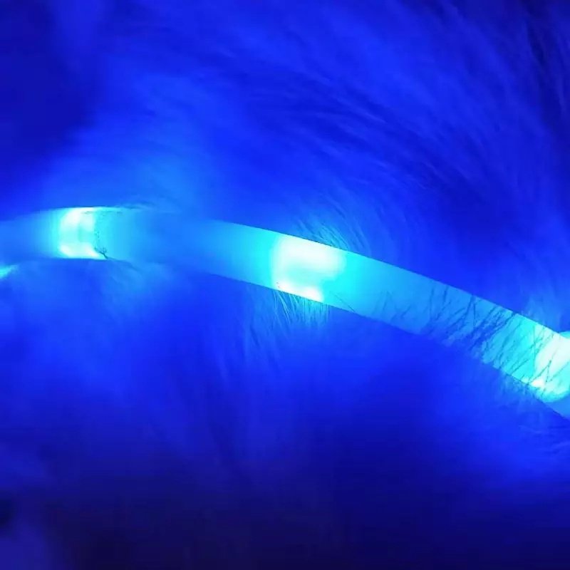 Cut-to-Fit USB LED Dog Collar - Image 7