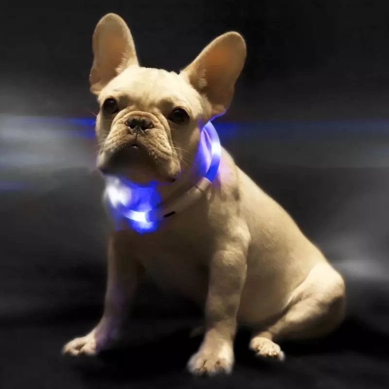 Cut-to-Fit USB LED Dog Collar - Image 5