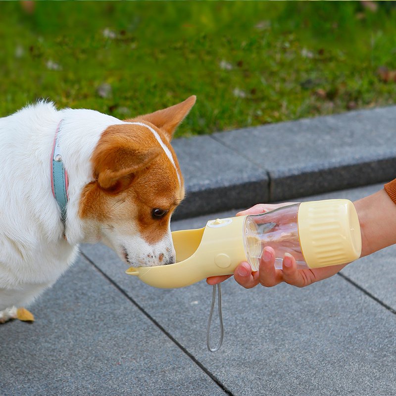2 In 1 Portable Dog Water Bottle For Small Big - Image 8