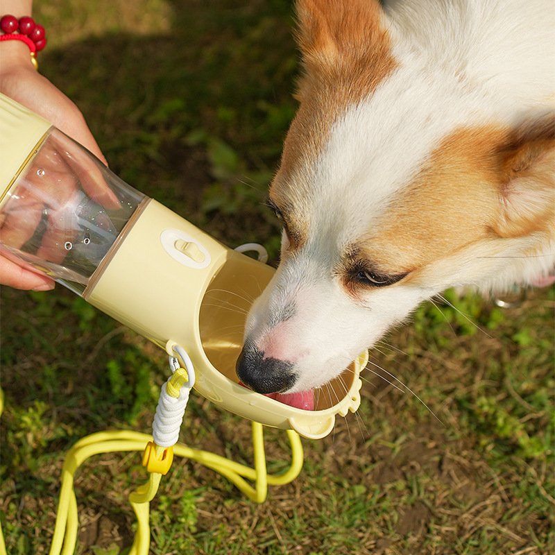 2 In 1 Portable Dog Water Bottle For Small Big - Image 3