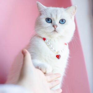 Beaded Heart Cat Necklace
