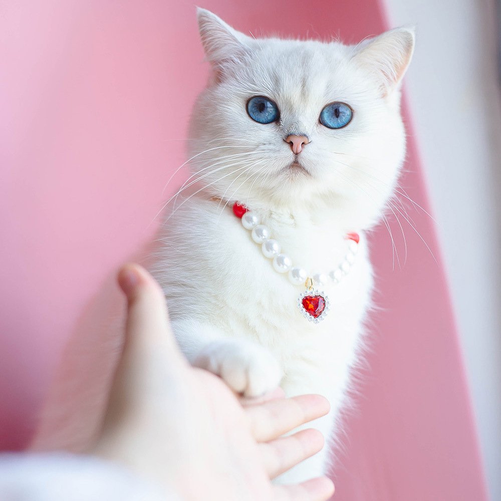 Beaded Heart Cat Necklace