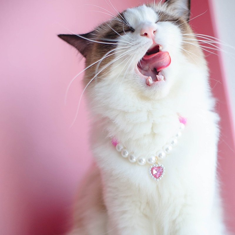 Beaded Heart Cat Necklace - Image 10