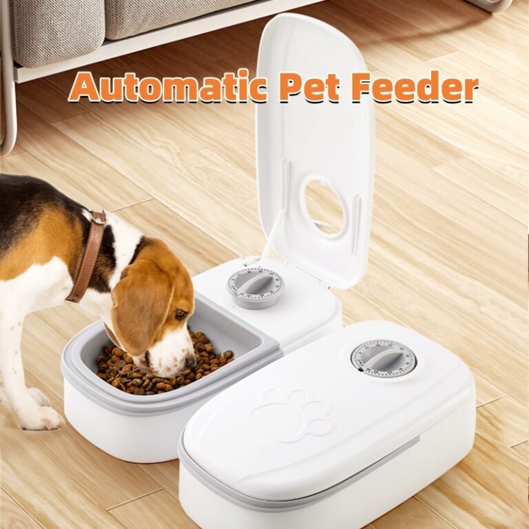 How Often Should I Feed My Cat? Schedules, Portions & Timed Feeders