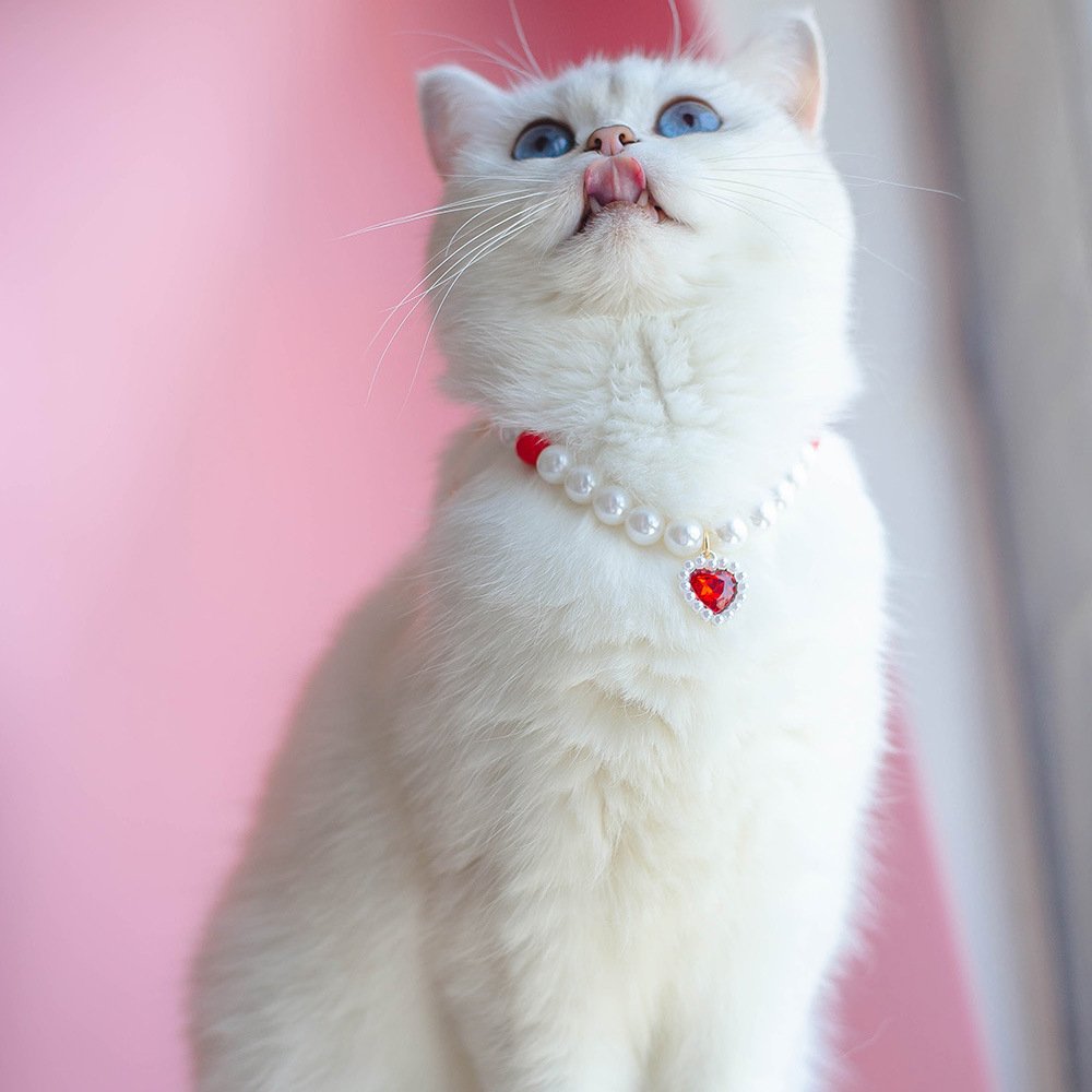 Beaded Heart Cat Necklace - Image 7