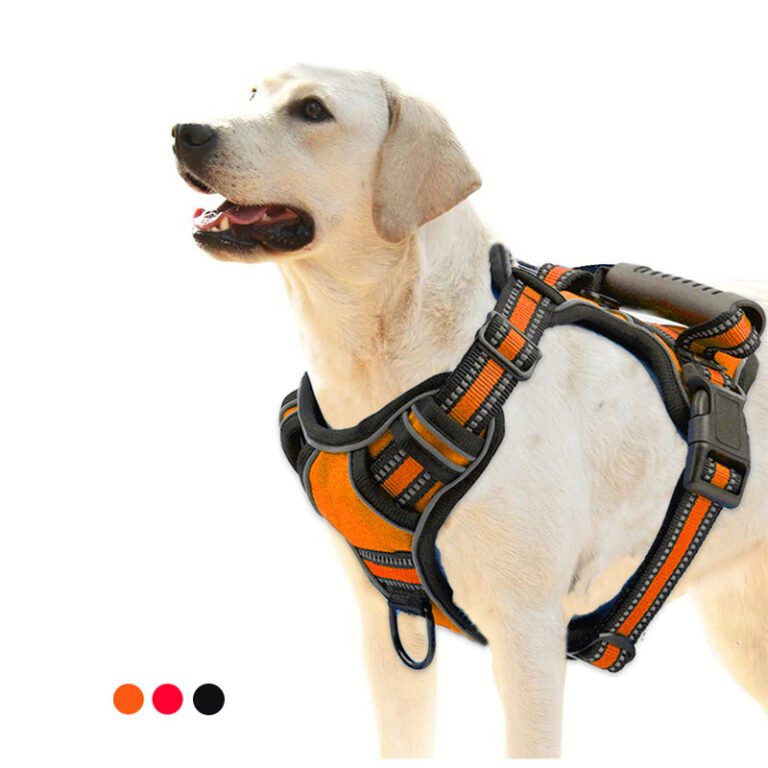 How Should a Dog Harness Fit? Measuring & Safety Guide