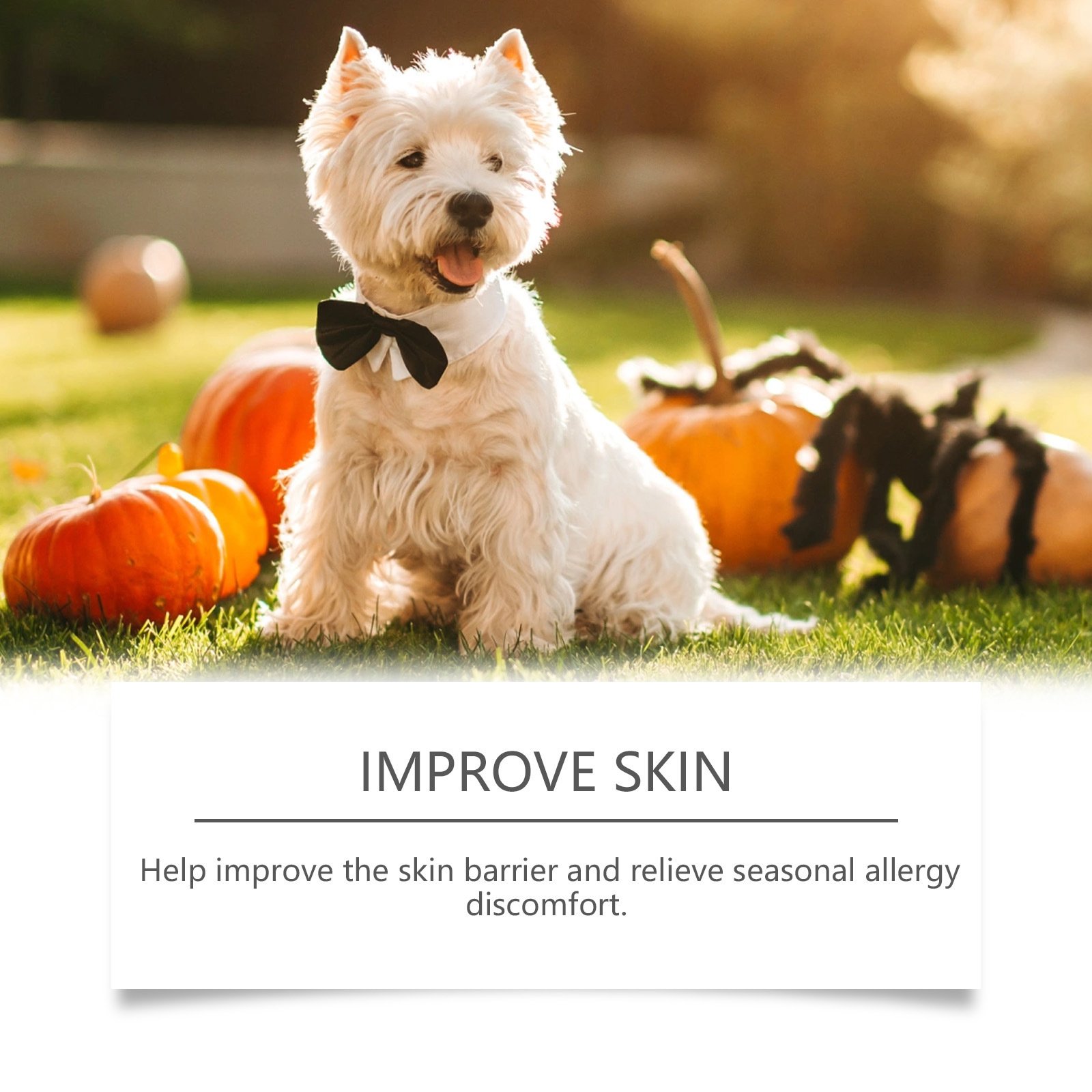 Allergy Support Pet Chews - Image 5