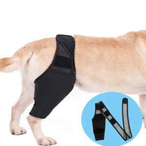 Pet Knee Pads For Joint Injury Recovery Legs Protector Dog
