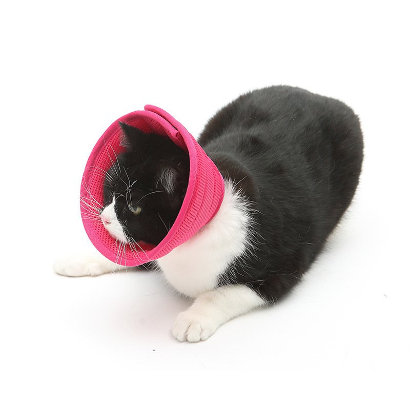 Dog Cat Anti-bite Collar Pet Medical Recovery Collars Transparent Pets - Image 9