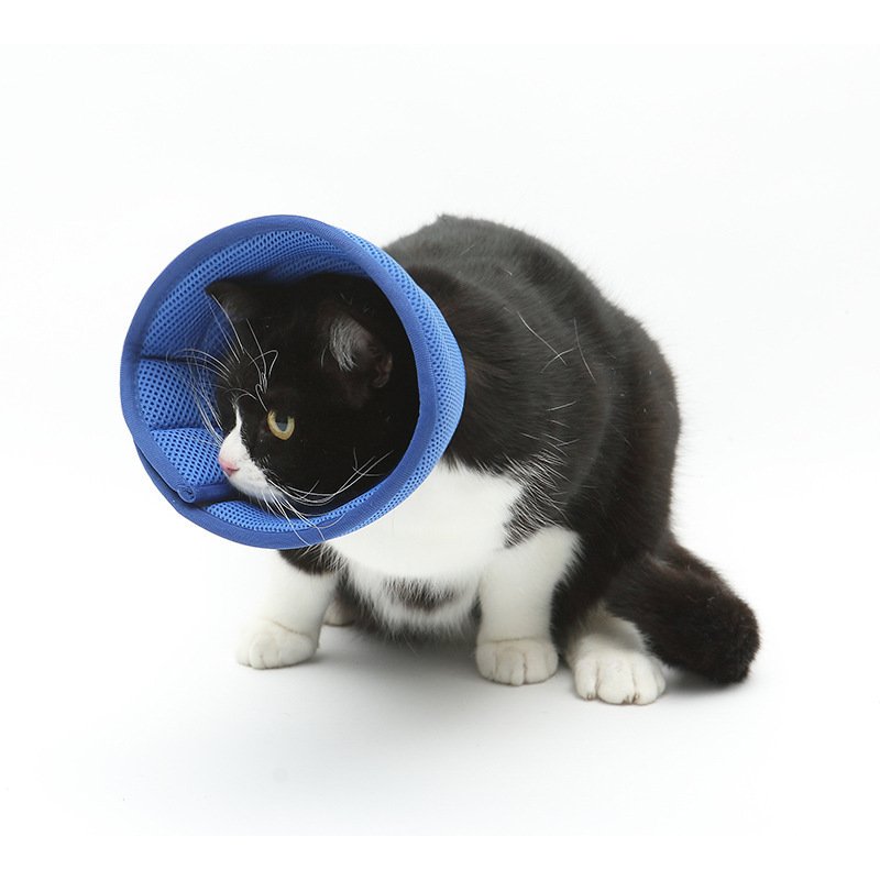 Dog Cat Anti-bite Collar Pet Medical Recovery Collars Transparent Pets - Image 4
