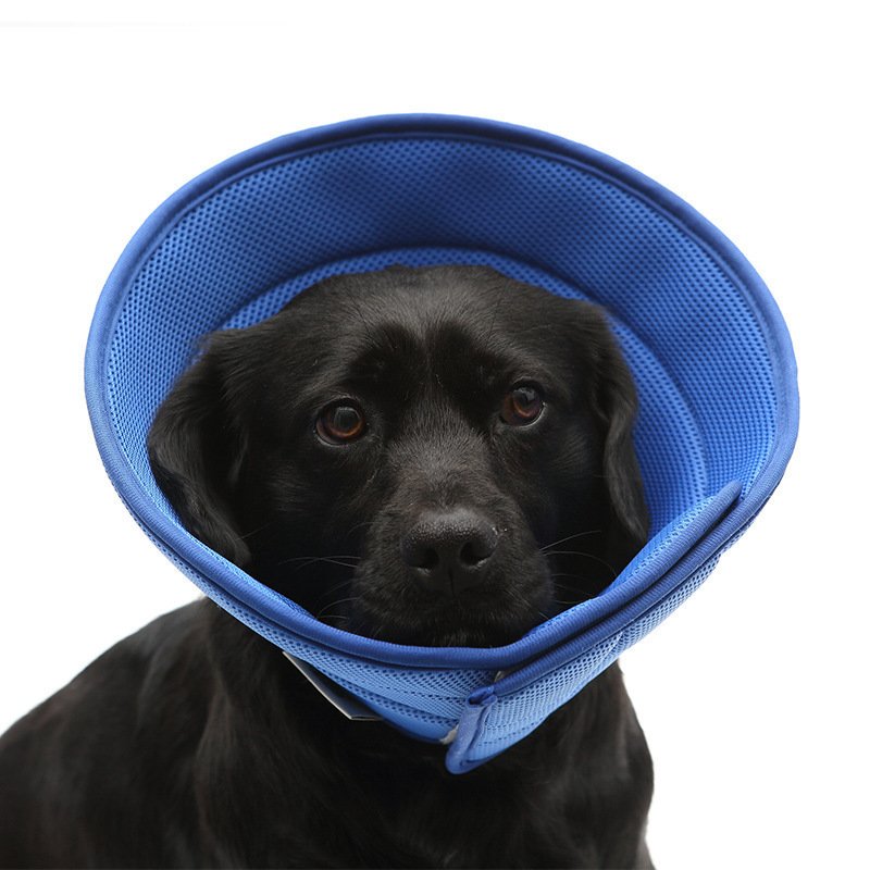 Dog Cat Anti-bite Collar Pet Medical Recovery Collars Transparent Pets - Image 6