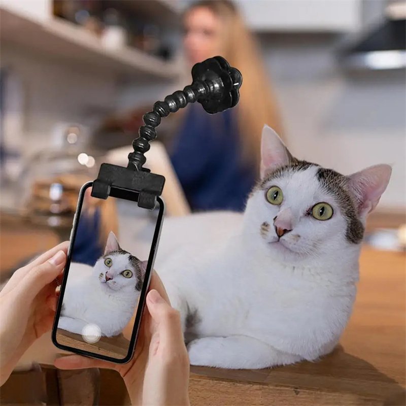 Pet Photography Tool Cat Dog And Viewing Lens Teddy Camera - Image 6