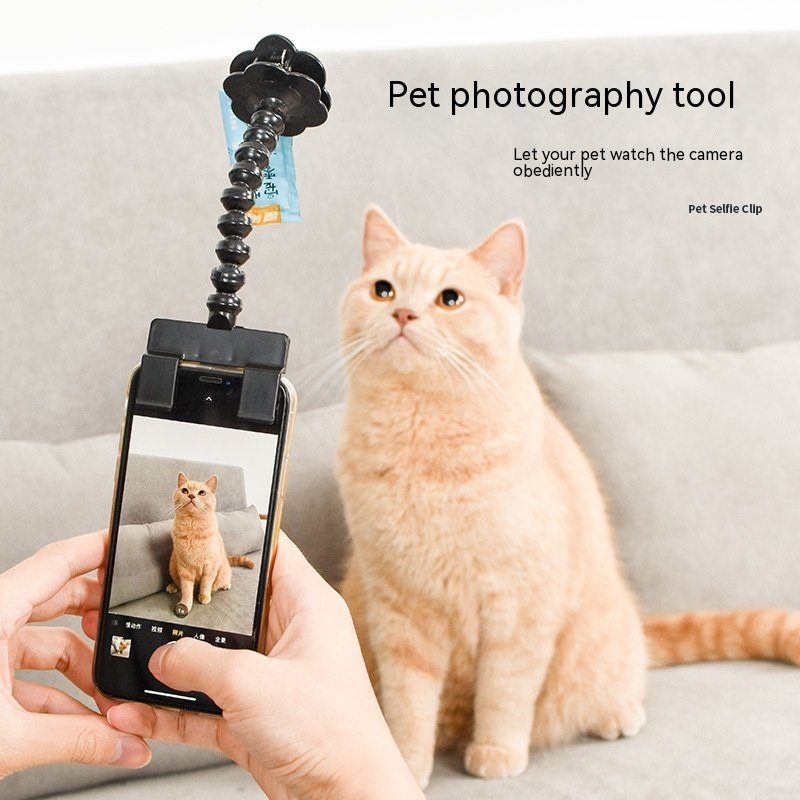 Pet Photography Tool Cat Dog And Viewing Lens Teddy Camera - Image 3