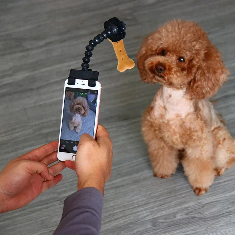 Pet Photography Tool Cat Dog And Viewing Lens Teddy Camera