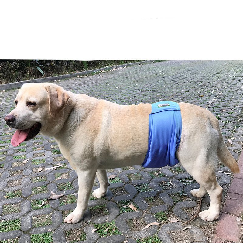 Male Dog Restraint Courtesy Belt Pet Supplie Washable Sanitary Diapers - Image 4