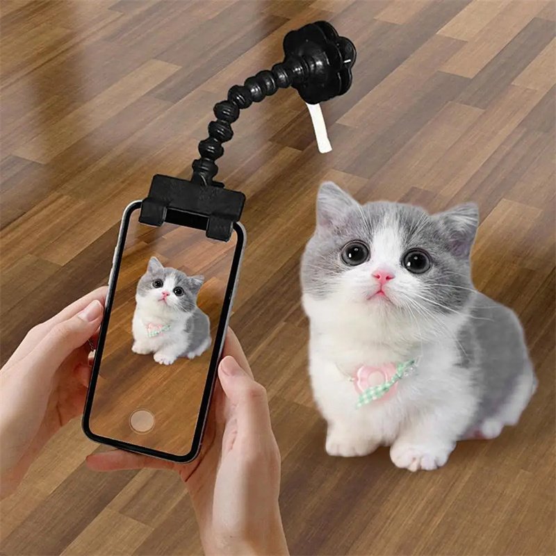 Pet Photography Tool Cat Dog And Viewing Lens Teddy Camera - Image 4